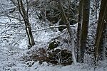 DSC01789