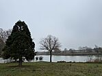 IMG_2555