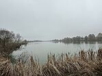 IMG_2556