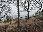 IMG_20251219_142352