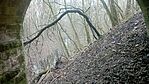 IMG_20251210_130618