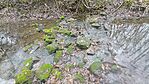 IMG_20251210_131042
