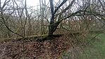 IMG_20251210_141401