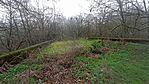 IMG_20251210_141617