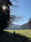 IMG_3335