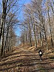 IMG_3340