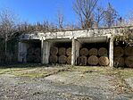 IMG_3344