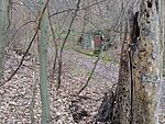 IMG_20251205_100709364_MFNR