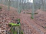 IMG_20251205_103744889_MFNR