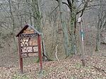 IMG_20251201_120100173_MFNR