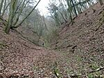 IMG_20251201_120343897_MFNR