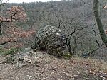 IMG_20251206_092019103_MFNR