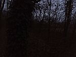 IMG_20251221_161943813_MFNR