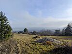 IMG_20251218_105246