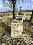 IMG_20251218_113458