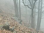 IMG_20251221_125812
