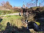 IMG_20251228_140952