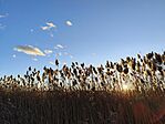 IMG_20251230_154238