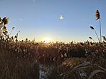 IMG_20251230_154401