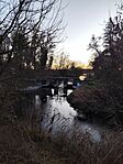IMG_20251230_155525