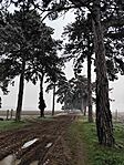 IMG_20251229_112315