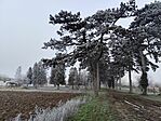 IMG_20251229_112433