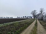 IMG_20251229_114739