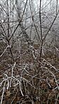 IMG_20251130_112448122
