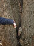 IMG_20251226_140913