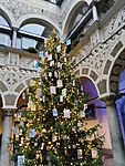 IMG_20251206_152139