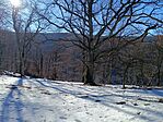 IMG_20260118_111614