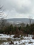 IMG_1771
