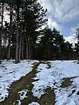 IMG_1781