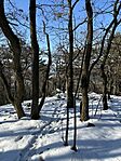 IMG_1787