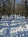 IMG_1792