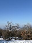 IMG_1791