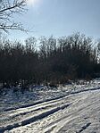 IMG_1789