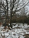 IMG_1777
