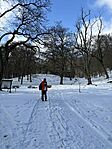 IMG_1782