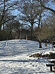 IMG_1784