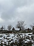IMG_1767