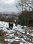 IMG_1772