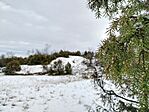 IMG_20260103_131833
