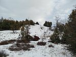 IMG_20260103_131901