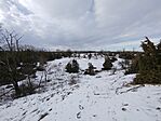 IMG_20260103_132014