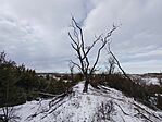 IMG_20260103_132158