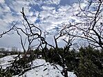 IMG_20260103_132358