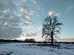 IMG_20260103_154847