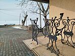 IMG_20260124_125340