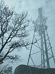IMG_20260124_120524